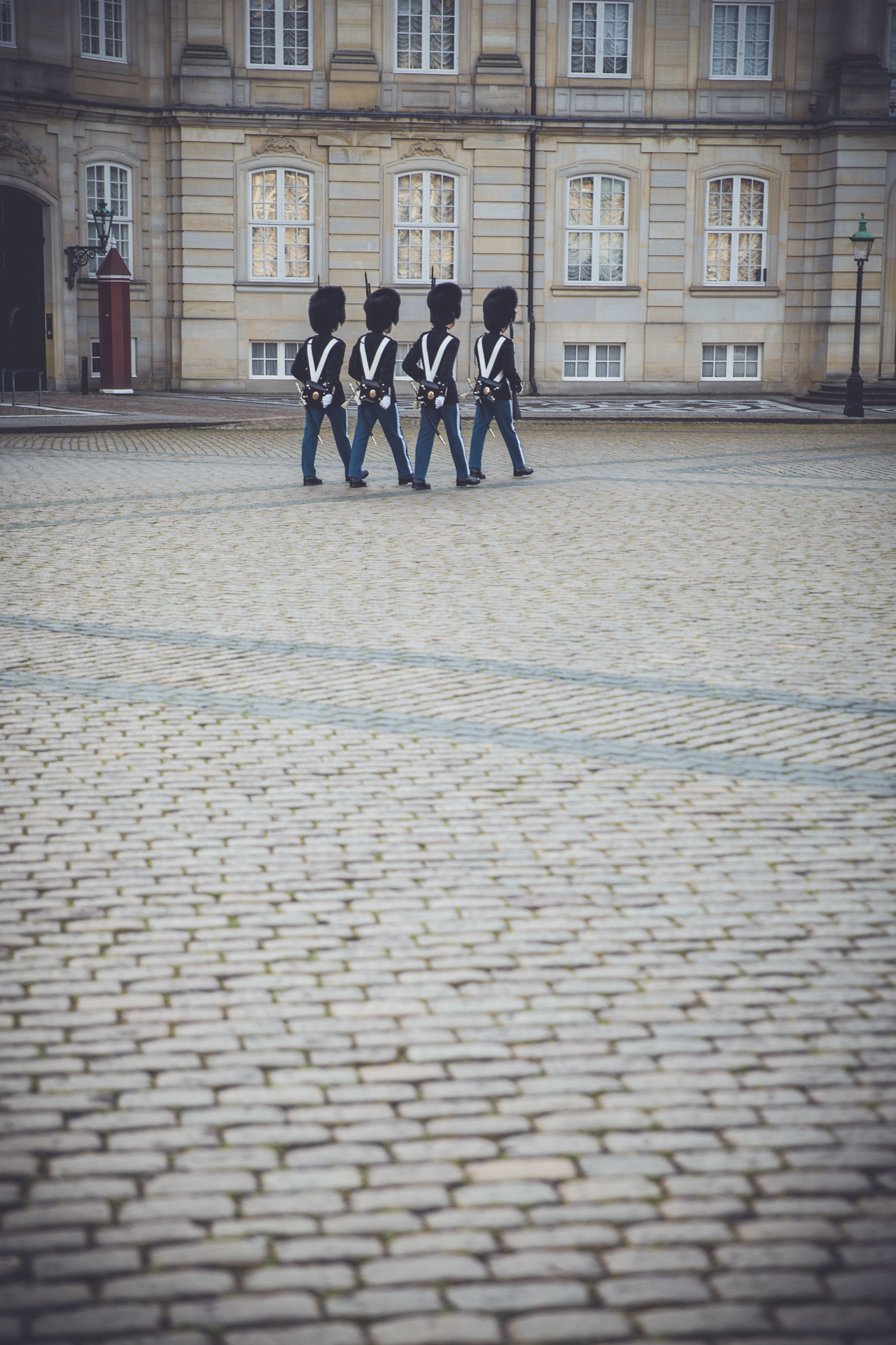 Denmark Guards